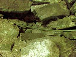 derrygola 1172.jpg